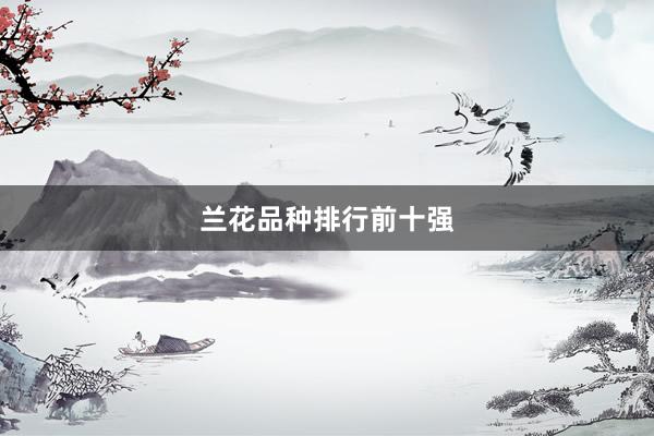 兰花品种排行前十强