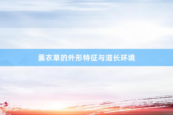 薰衣草的外形特征与滋长环境