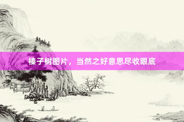 榛子树图片，当然之好意思尽收眼底