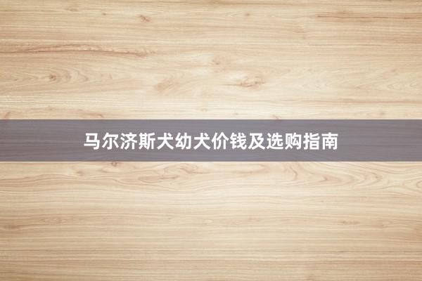 马尔济斯犬幼犬价钱及选购指南